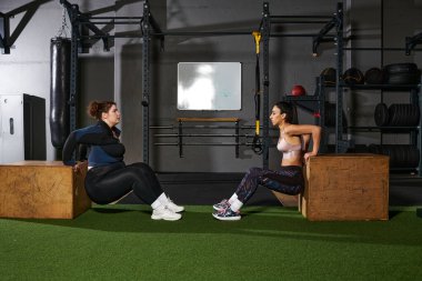 Arkadaşlar birbirlerini cesaretlendirirken modern bir spor salonunda triseps dalışı yaparlar..