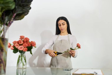 Beautiful brunette florist skillfully arranges roses while managing her small business. clipart