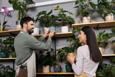 Bir çift, çiçekçilerinde çiçekçilere adanmışlıklarını göstermek için neşeyle çiçek düzenliyor..