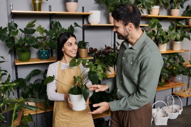 A florist showcases a beautiful plant to a male client while discussing options available. clipart