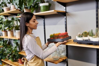 Esmer fabrika sahibi, bitkilere ve sürdürülebilirliğe olan sevgisini ifade ederek canlı kaktüsler düzenliyor..