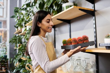 Yetenekli bir fabrika sahibi çiçekçi dükkanında renkli bitkiler düzenliyor..