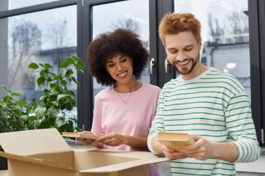 Çiftler, bitkilerle çevrili güneşli ve modern bir dairede kitap paketleri açıyor..