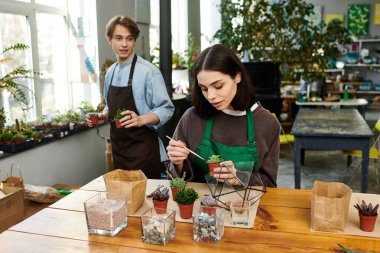 Sanatçılar canlı ve ilham verici bir sanat stüdyosunda eşsiz bitki düzenlemeleri yapıyorlar..