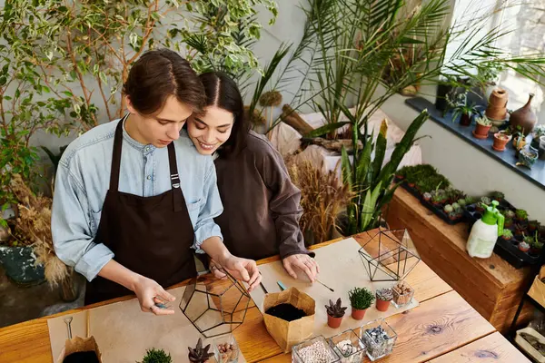 Genç bir çift, canlı bir sanat stüdyosundaki bitkilerden eşsiz dekorlar yaratıyor..