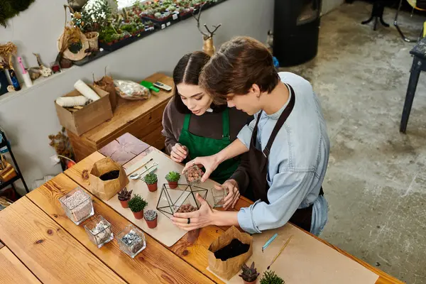 Yaratıcı çift, bir sanat stüdyosunda birlikte çalışırlar. Düşünceli bir şekilde bitkilerle eşsiz akaryumlar hazırlarlar..