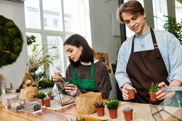 Yaratıcı çift, doğa ve aletlerle çevrili teraryumları bir araya getirerek yaratıcılığı ateşliyor..