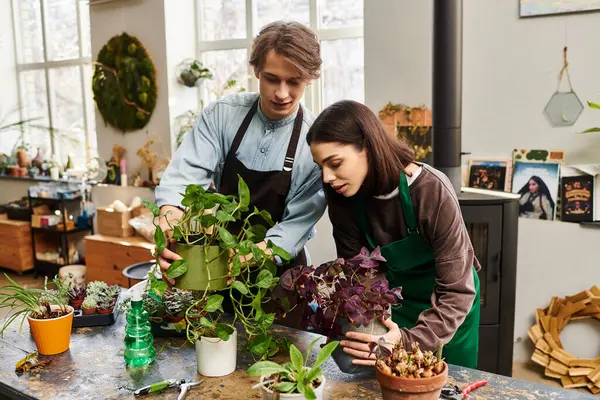 Genç çift canlı, yeşil dolu bir sanat stüdyosunda yaratıcı bir şekilde bitkiler düzenliyor..