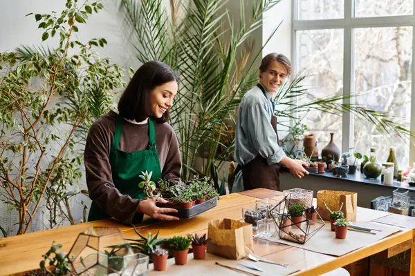 Sevgi dolu çift, bitkilerin, aletlerin ve akan güneş ışığının ortasında sanat yaratıyor..