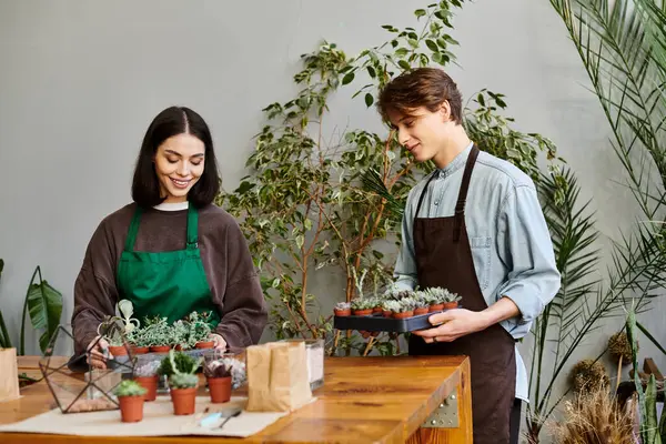 Yaratıcı çift canlı bir stüdyoda iş birliği yapıyor, bitkileri besliyor ve yaratıcılığı keşfediyor..