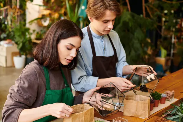 Genç çift canlı, yeşil bir sanat stüdyosunda eşsiz teraryumlar yaratıyor..