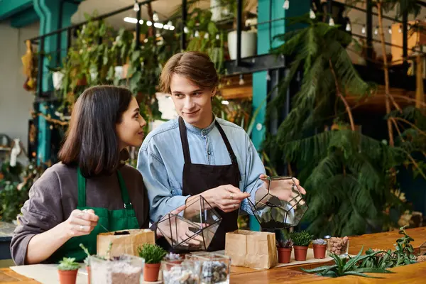 Bitkiler ve malzemelerle eşsiz teraryumlar oluştururken iki genç sanatçı enerjik bir şekilde sohbet ediyorlar..