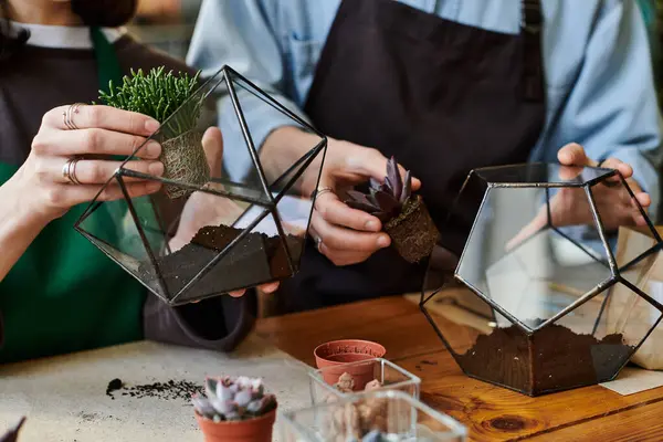 Genç çift, yaratıcılıklarını ve yeteneklerini sergileyerek benzersiz teraryumlar yaratıyor..