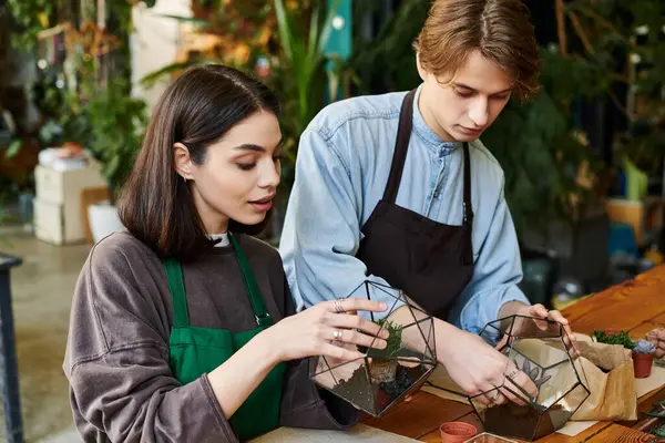Yaratıcı çift yaratıcı yeşilliklerle dolu verimli, karmaşık teraryumlar yaratıyor..