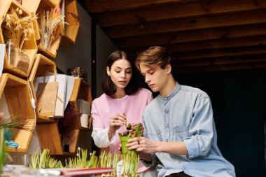 İlham verici bir sanat stüdyosunda, iki genç sanatçı bitki yetiştirir ve yaratıcılıklarını paylaşırlar..