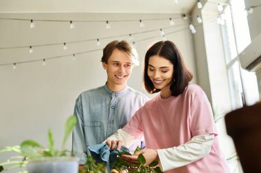 Genç çiftler bitkileri yetiştiriyor ve yaratıcı bir sanat stüdyosunda fikirlerini paylaşıyorlar..