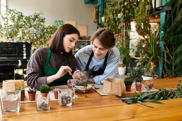 Genç çift, bitkiler ve sanatın arasında yaratıcı bir proje üzerinde çalışıyor, yaratıcı fikirleri paylaşıyorlar..