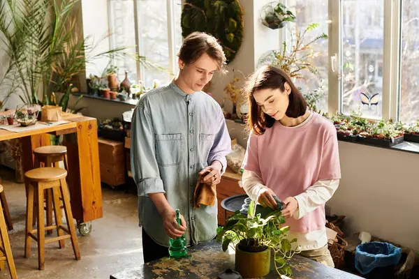 Genç çift, yaratıcı enerji ve ilhamla dolu parlak bir sanat stüdyosunda bitki yetiştiriyor..