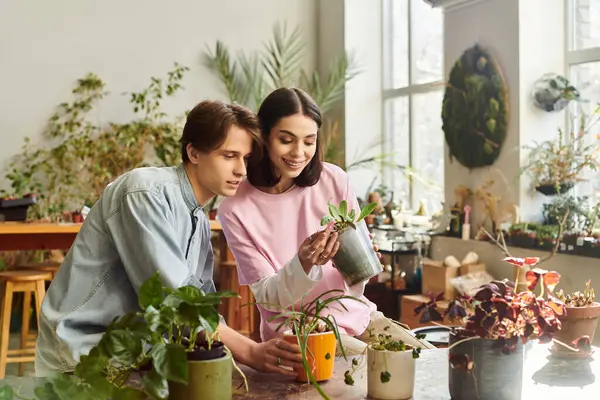 Genç çift bitkilerle ilgilenir ve canlı bir sanat stüdyosunda gülümseme paylaşır..