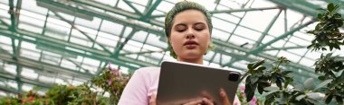 Odaklanmış genç bir kadın renkli çiçeklerle dolu canlı bir serada tablet kullanıyor..