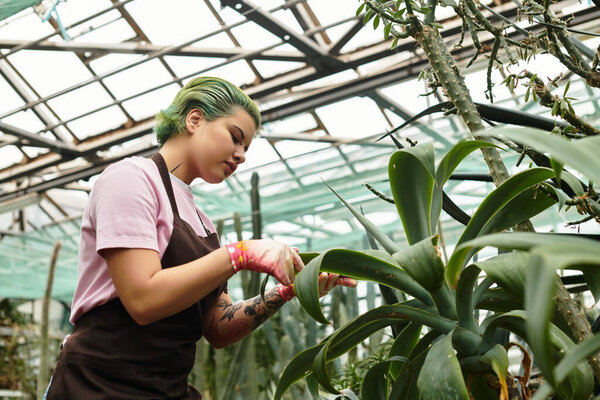 Молодая женщина воспитывает яркие растения в живой теплице, демонстрируя свою страсть.