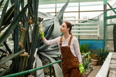 Güneş ışığıyla dolu, geniş bir serada yemyeşil bitkilerle ilgilenen güzel bir kadın.