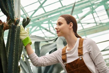 Parlak, canlı bir serada kaktüsle ilgilenen genç bir kadın. İçi doğal ışık dolu..