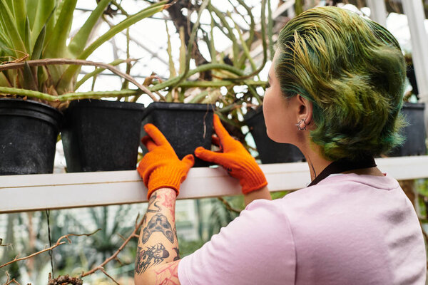 Focused on her task, a young woman tends to potted plants in a lively greenhouse setting.
