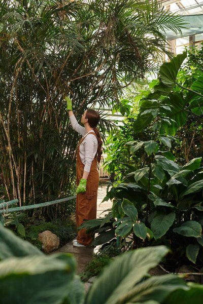 Amidst thriving greenery, a young woman carefully nurtures plants in a lively greenhouse.