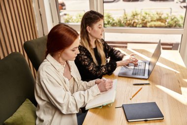 Güzel arkadaşlar modern bir kafe ortamında dizüstü bilgisayarlarına odaklanırlar..