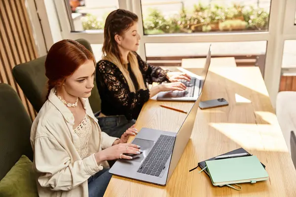 İki genç kadın, modaya uygun bir kafede eğlenirken dizüstü bilgisayarlarla iş birliği yapıyor..