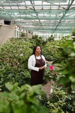 Saçları örgülü bir Afrikalı Amerikalı kadın yemyeşil bir serada güzel bitkiler yetiştiriyor..