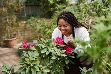 Bir serada canlı çiçeklerle ilgilenirken örgü ören Afrikalı Amerikalı kadın gülümsüyor..