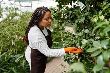 Huzurlu bir serada, Afrikalı bir Amerikalı kadın bitkileriyle sevgiyle ilgileniyor..