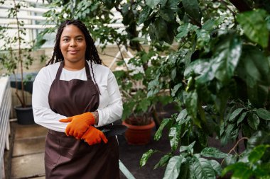 Saçları örgülü Afrikalı bir Amerikalı kadın yeşillik dolu canlı bir serada bitki yetiştiriyor..