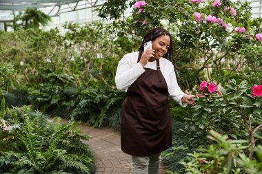 Örgülü Afrikalı bir Amerikalı kadın neşeyle serada renkli çiçeklere eğilimlidir..