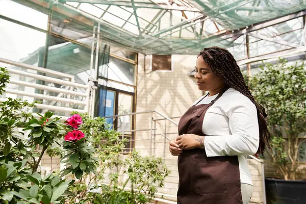 Örgülü Afrikalı bir Amerikalı kadın sıcak bir serada çiçek açan bitkilere hayran..