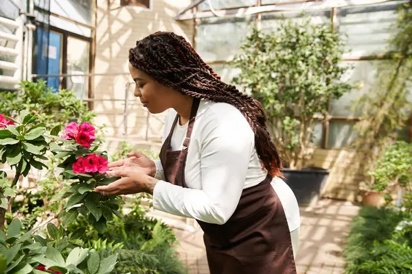 Afrikalı bir Amerikalı kadın sera bahçesinde çiçek açmayı sever..