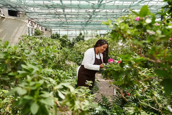 Örgü ören Afrikalı bir Amerikalı kadın yemyeşil bir serada renkli bitkilere özen gösterir..