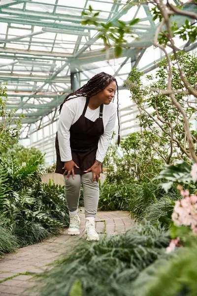 Saçları örgülü Afro-Amerikalı bir kadın yemyeşil bir serada bitki yetiştirme eğilimindedir..
