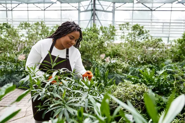 Örgülü siyah bir kadın, geniş bir serada canlı bitkilere eğilimlidir..