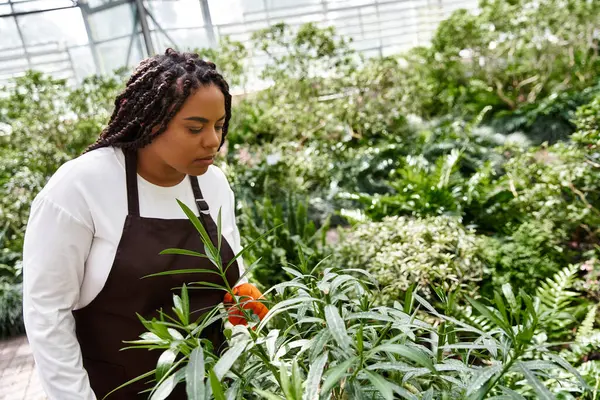 Saçları örgülü Afro-Amerikan bir kadın seradaki yemyeşil yeşilliği inceliyor, neşe saçıyor..