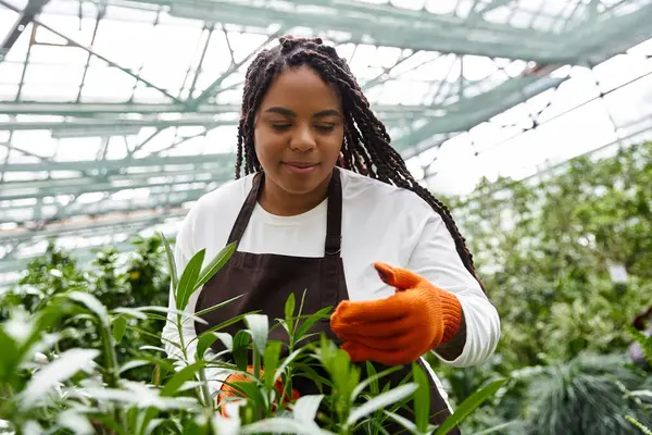 Yetenekli bir bahçıvan, parlak bir serada yeşilliklerle çevrili yemyeşil bitkiler yetiştirir..