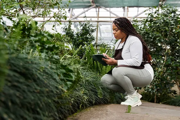 Örgü ören Afro-Amerikalı bir kadın dikkatle bir seraya bitki dikme eğilimindedir..
