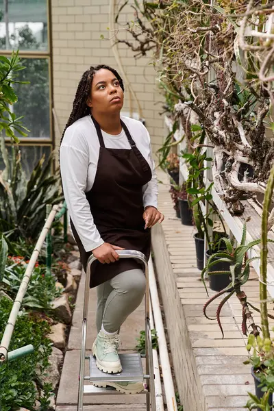 Odaklanmış, örgülü bir Afrikalı Amerikalı kadın yemyeşil bir seradaki bitkilerle ilgileniyor..