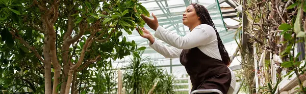 Saçları örgülü Afrikalı bir Amerikalı kadın serada yemyeşil bitkilerle ilgileniyor.