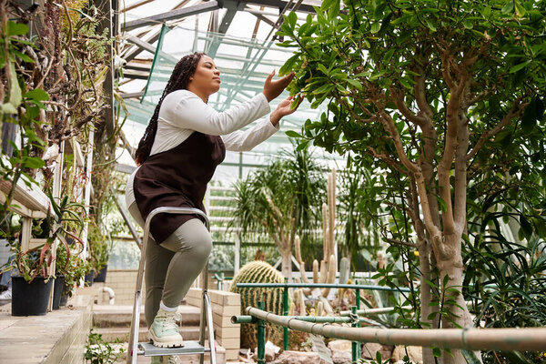 An African American woman with braids nurtures plants carefully in a tranquil greenhouse.