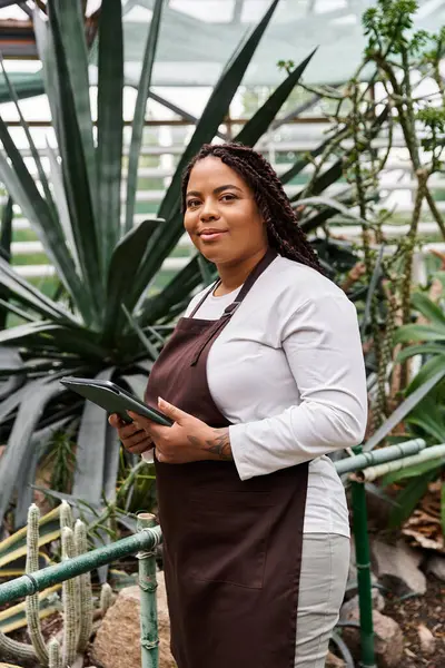 Örgülü Afrikalı bir Amerikalı kadın serada bitki yetiştirirken elinde bir tablet tutuyor..