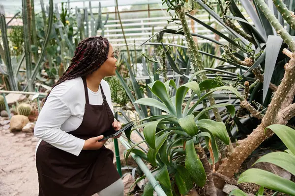 Saçları örgülü neşeli bir Afrikalı Amerikalı kadın seradaki çiçekleri yemliyor..