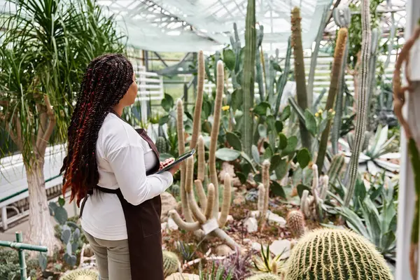 Örgülü siyah bir kadın neşe içinde seradaki bitkilere hayran, bahçe işlerine olan aşkını somutlaştırıyor..